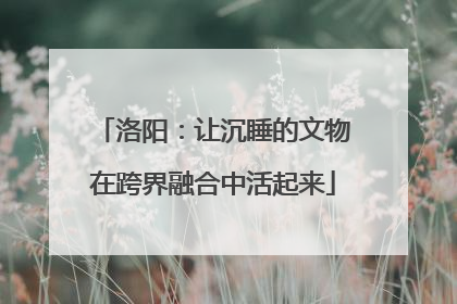 洛阳：让沉睡的文物在跨界融合中活起来