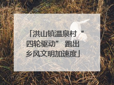 洪山镇温泉村“四轮驱动” 跑出乡风文明加速度
