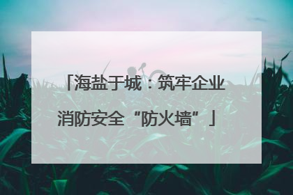 海盐于城：筑牢企业消防安全“防火墙”