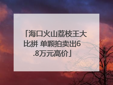 海口火山荔枝王大比拼 单颗拍卖出6.8万元高价