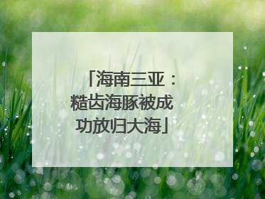 海南三亚：糙齿海豚被成功放归大海
