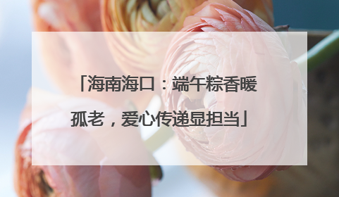海南海口：端午粽香暖孤老，爱心传递显担当