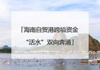 海南自贸港跨境资金“活水”双向奔涌