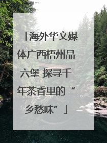海外华文媒体广西梧州品六堡 探寻千年茶香里的“乡愁味”