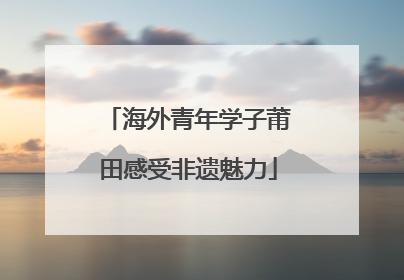 海外青年学子莆田感受非遗魅力