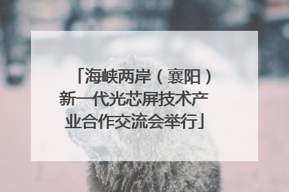 海峡两岸（襄阳）新一代光芯屏技术产业合作交流会举行
