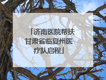 济南医院帮扶甘肃省临夏州医疗队启程