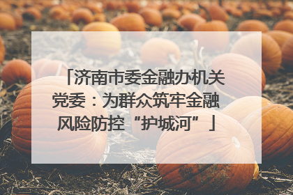 济南市委金融办机关党委：为群众筑牢金融风险防控“护城河”
