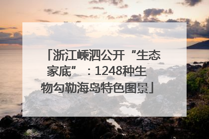 浙江嵊泗公开“生态家底”：1248种生物勾勒海岛特色图景