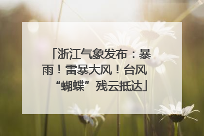 浙江气象发布：暴雨！雷暴大风！台风“蝴蝶”残云抵达