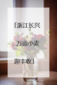 浙江长兴：万亩小麦迎丰收