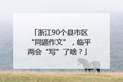 浙江90个县市区“同题作文”，临平两会“写”了啥？