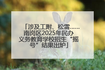 涉及工附、松雷……南岗区2025年民办义务教育学校招生“摇号”结果出炉