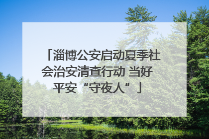 淄博公安启动夏季社会治安清查行动 当好平安“守夜人”