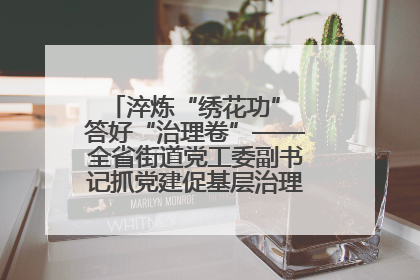 淬炼“绣花功” 答好“治理卷”——全省街道党工委副书记抓党建促基层治理培训示范班侧记