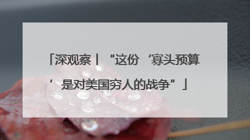 深观察丨“这份‘寡头预算’是对美国穷人的战争”