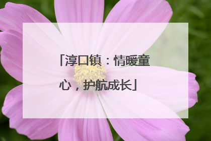 淳口镇：情暖童心，护航成长