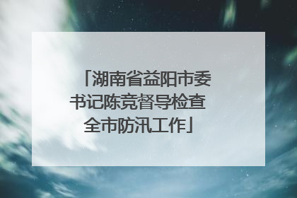 湖南省益阳市委书记陈竞督导检查全市防汛工作