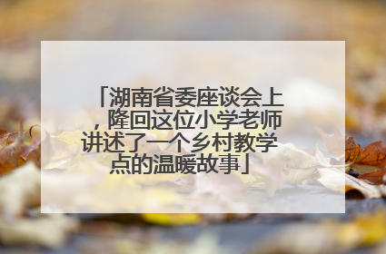 湖南省委座谈会上，隆回这位小学老师讲述了一个乡村教学点的温暖故事