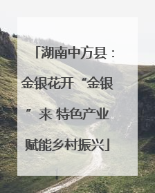 湖南中方县：金银花开“金银”来 特色产业赋能乡村振兴