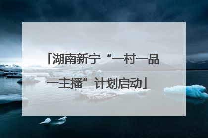 湖南新宁“一村一品一主播”计划启动