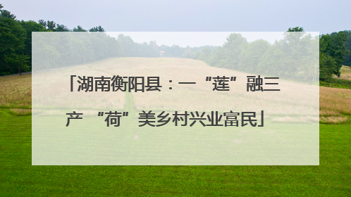 湖南衡阳县：一“莲”融三产 “荷”美乡村兴业富民