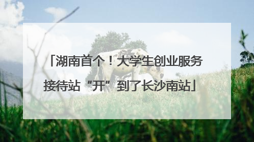 湖南首个！大学生创业服务接待站“开”到了长沙南站