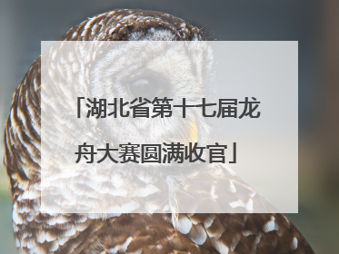 湖北省第十七届龙舟大赛圆满收官