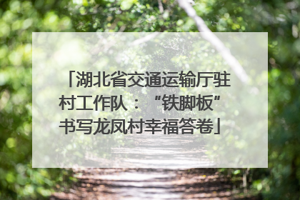 湖北省交通运输厅驻村工作队：“铁脚板”书写龙凤村幸福答卷