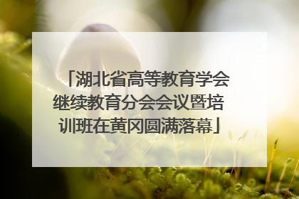湖北省高等教育学会继续教育分会会议暨培训班在黄冈圆满落幕