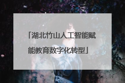 湖北竹山人工智能赋能教育数字化转型