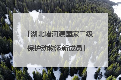 湖北堵河源国家二级保护动物添新成员