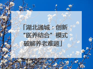 湖北通城：创新 “医养结合”模式 破解养老难题