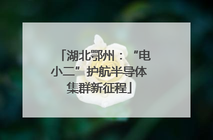 湖北鄂州：“电小二”护航半导体集群新征程