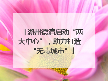 湖州德清启动“两大中心”，助力打造“无毒城市”