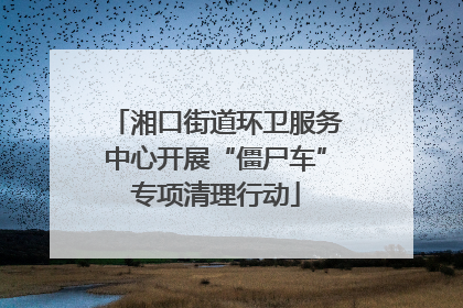 湘口街道环卫服务中心开展“僵尸车”专项清理行动