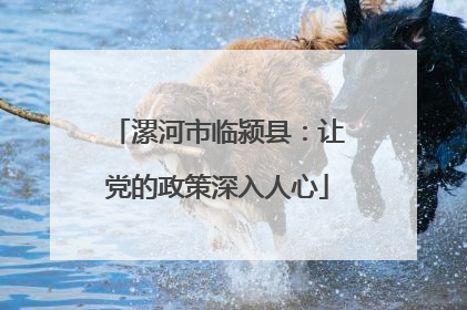 漯河市临颍县：让党的政策深入人心