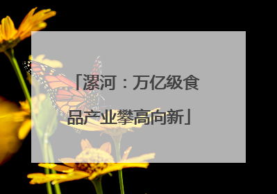 漯河：万亿级食品产业攀高向新