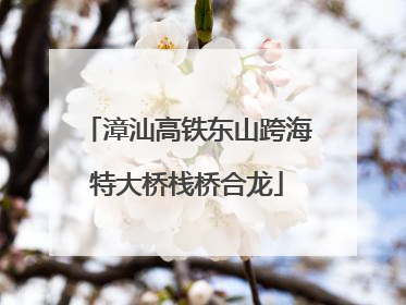 漳汕高铁东山跨海特大桥栈桥合龙