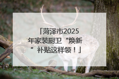 菏泽市2025年家装厨卫“焕新”补贴这样领！