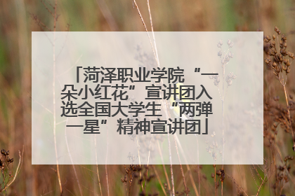 菏泽职业学院“一朵小红花”宣讲团入选全国大学生“两弹一星”精神宣讲团