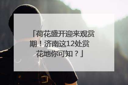 荷花盛开迎来观赏期！济南这12处赏花地你可知？