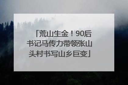 荒山生金！90后书记马传力带领张山头村书写山乡巨变