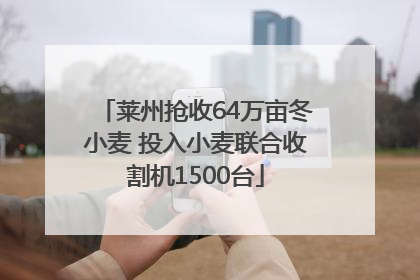 莱州抢收64万亩冬小麦 投入小麦联合收割机1500台