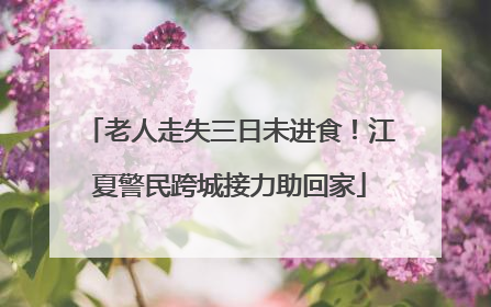 老人走失三日未进食！江夏警民跨城接力助回家