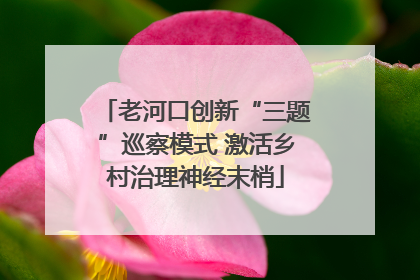 老河口创新“三题”巡察模式 激活乡村治理神经末梢