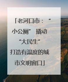 老河口市：“小公厕” 撬动 “大民生” 打造有温度的城市文明窗口