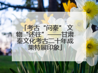 考古“问秦” 文物“述往”——甘肃秦文化考古二十年成果特展印象