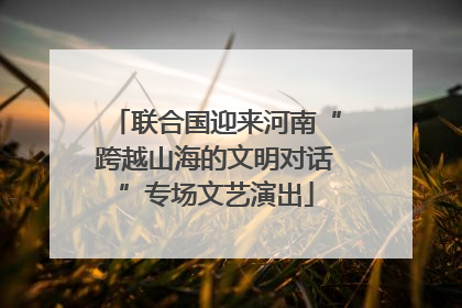 联合国迎来河南“跨越山海的文明对话”专场文艺演出