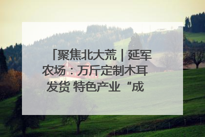 聚焦北大荒｜延军农场：万斤定制木耳发货 特色产业“成绩单”亮眼